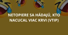 Netopiere sa hádajú, kto nacucal viac krvi (Vtip)