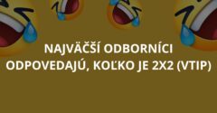 Najväčší odborníci odpovedajú, koľko je 2×2 (Vtip)