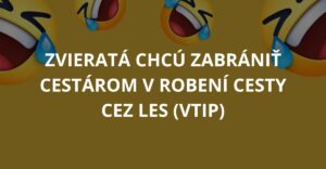 Zvieratá chcú zabrániť cestárom v robení cesty cez les (Vtip)