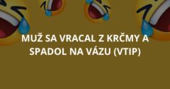 Muž sa vracal z krčmy a spadol na vázu (Vtip)