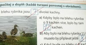 Šikovná žiačka dostala štvorku z matematiky, čo na internete spustilo vlnu diskusie. Postupovala učiteľka správne?