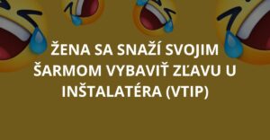 Žena sa snaží svojim šarmom vybaviť zľavu u inštalatéra (Vtip)