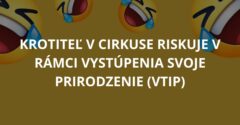 Krotiteľ v cirkuse riskuje v rámci vystúpenia svoje prirodzenie (Vtip)