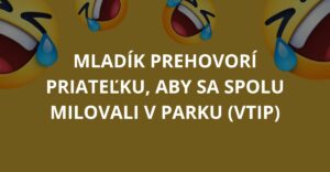 Mladík prehovorí priateľku, aby sa spolu milovali v parku (Vtip)