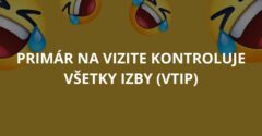 Primár na vizite kontroluje všetky izby (Vtip)