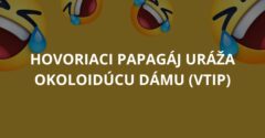 Hovoriaci papagáj uráža okoloidúcu dámu (Vtip)